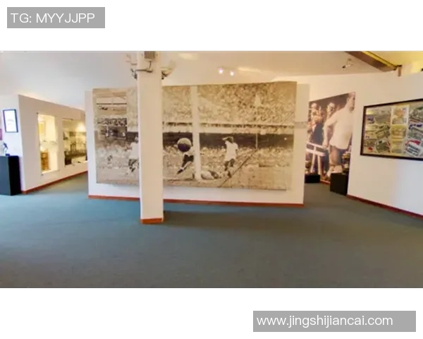 维族足球明星全景盘点及其辉煌成就与影响力分析