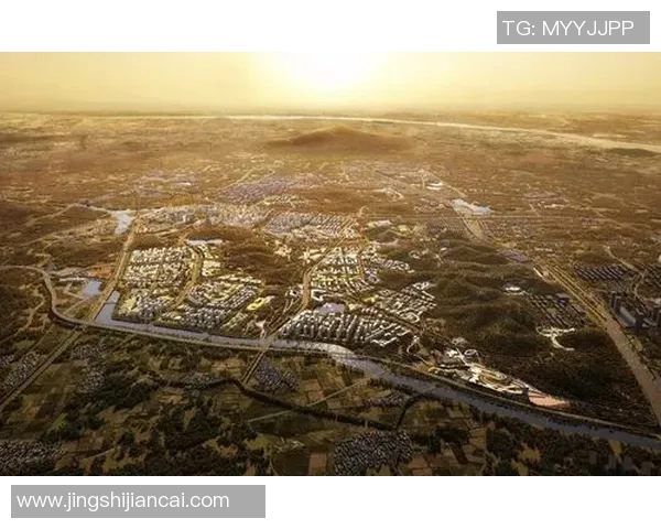 南京排球队的阵地战解析：战术创新与团队协作的完美结合