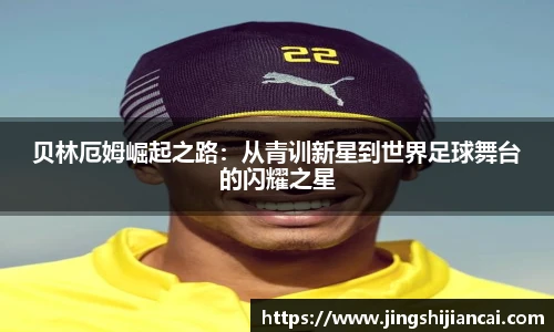 乐发Vl